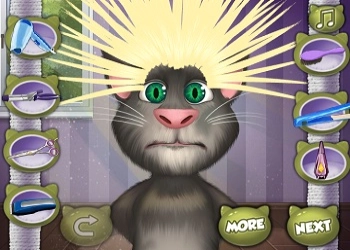 រោងគ្រឿងសក់ Talking Tom រូបថតអេក្រង់ហ្គេម